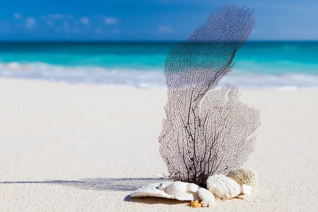 Pefkoulia beach turquoise waters Lefkada